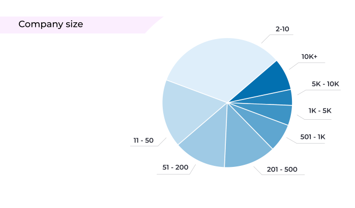 Company size