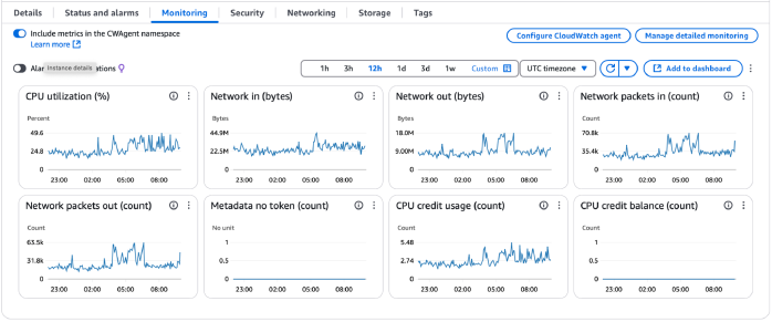 Infrastructure monitoring